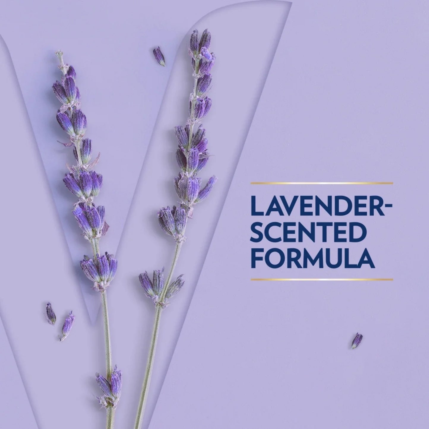 Safeguard Hydrating Hand Wash - Notes of Citrus, 15.5 fl oz (458ml)