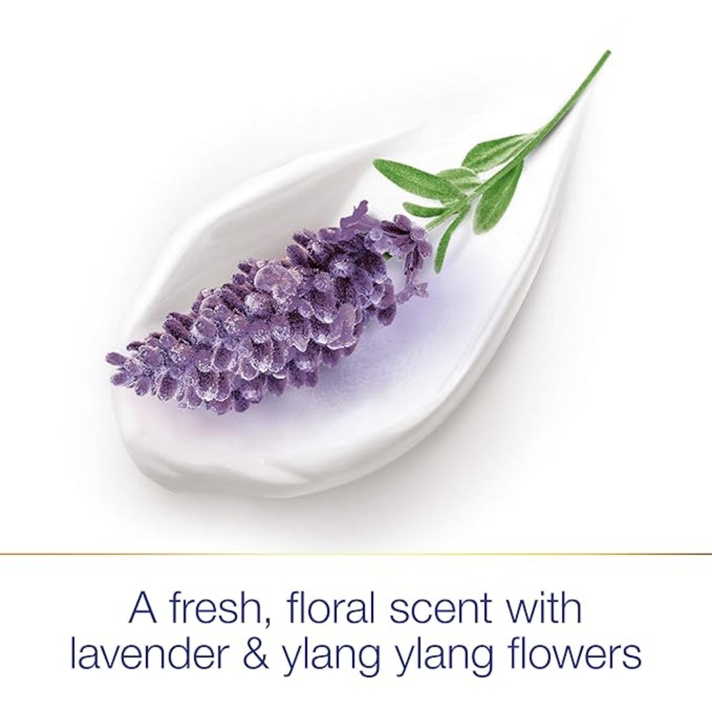 Safeguard Hydrating Hand Wash - Notes of Citrus, 15.5 fl oz (458ml)