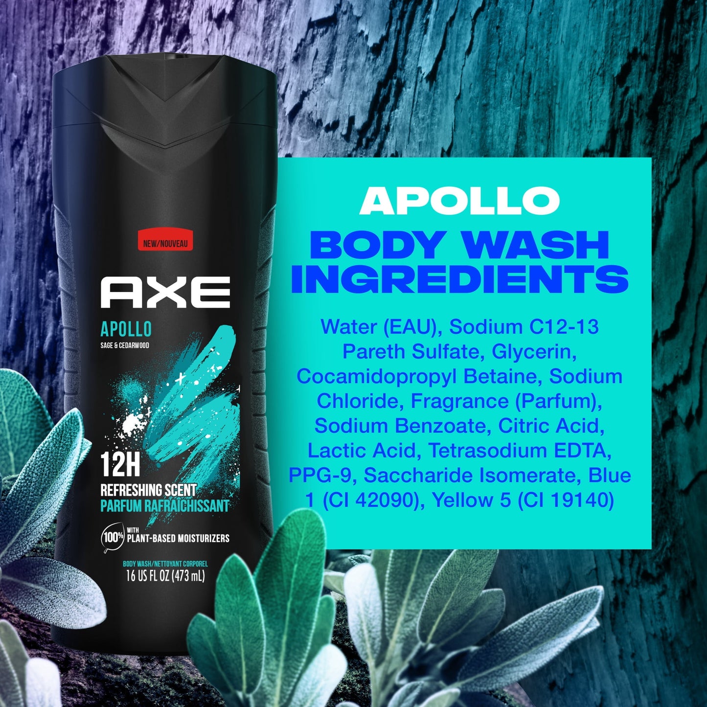 AXE Men's Body Wash Set, Apollo Sage & Cedarwood, Gel Type, 16 fl oz, Pack of 1