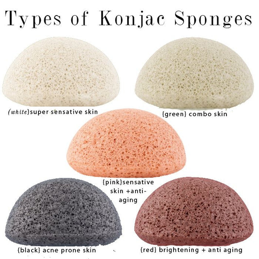Konjac Sponge | Organic Vegetable Fiber