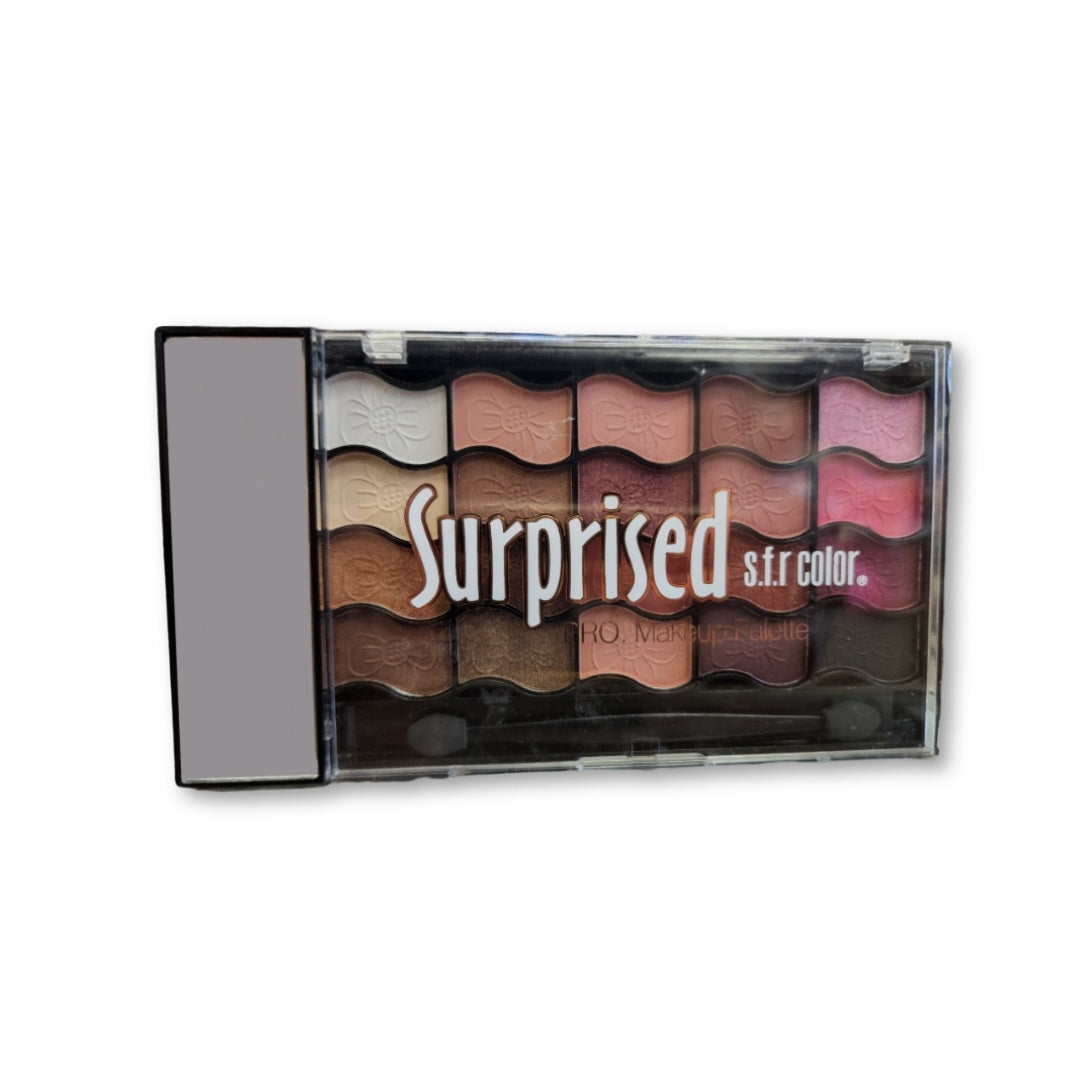 SFR Color Surprised Pro Makeup Palette